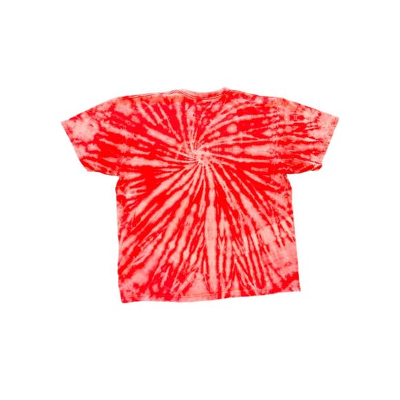 Philadelphia Phillies Bleached Tee - Picture 2 of 3